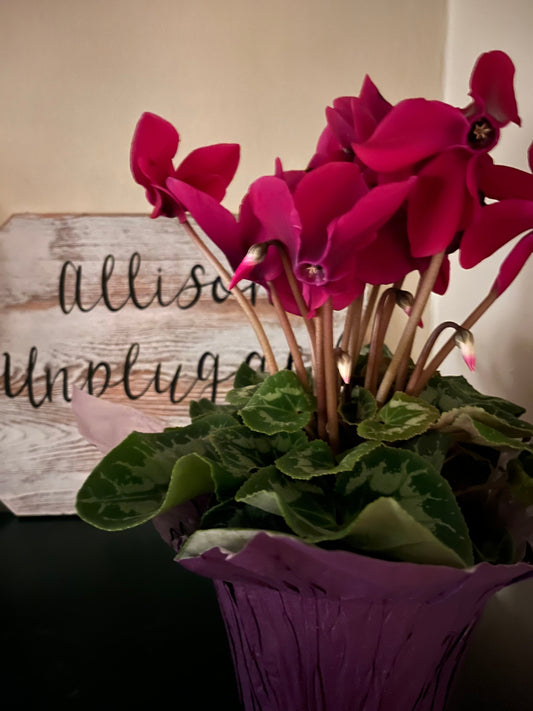 New Moon Blessings & Happy Lunar New Year